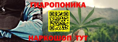 стафф Нальчик