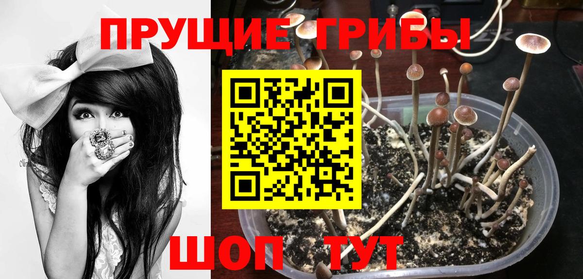МЕФ кристаллы  МДМА  ГАШИШ  Каннабис  Вход с VPN  Лсд 25  Меф МЯУ МЯУ  МЕТАДОН  Усолье-Сибирское  МЕТ 